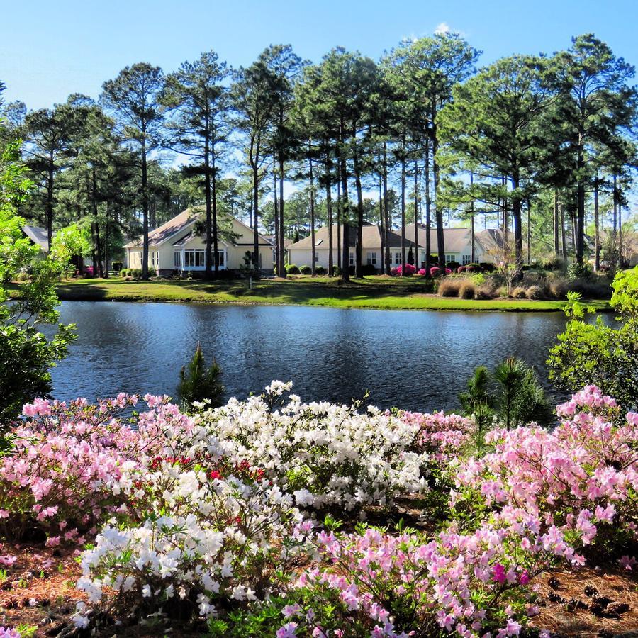 Brunswick Plantation And Golf Resort カラバッシュ エクステリア 写真